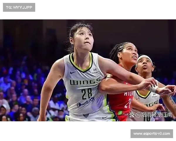 山猫飞翼本土市场收视率分析与观众反应调查报告