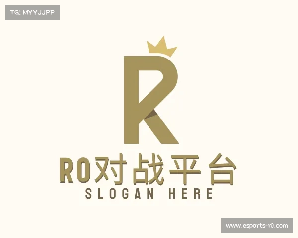 关于r0对战平台